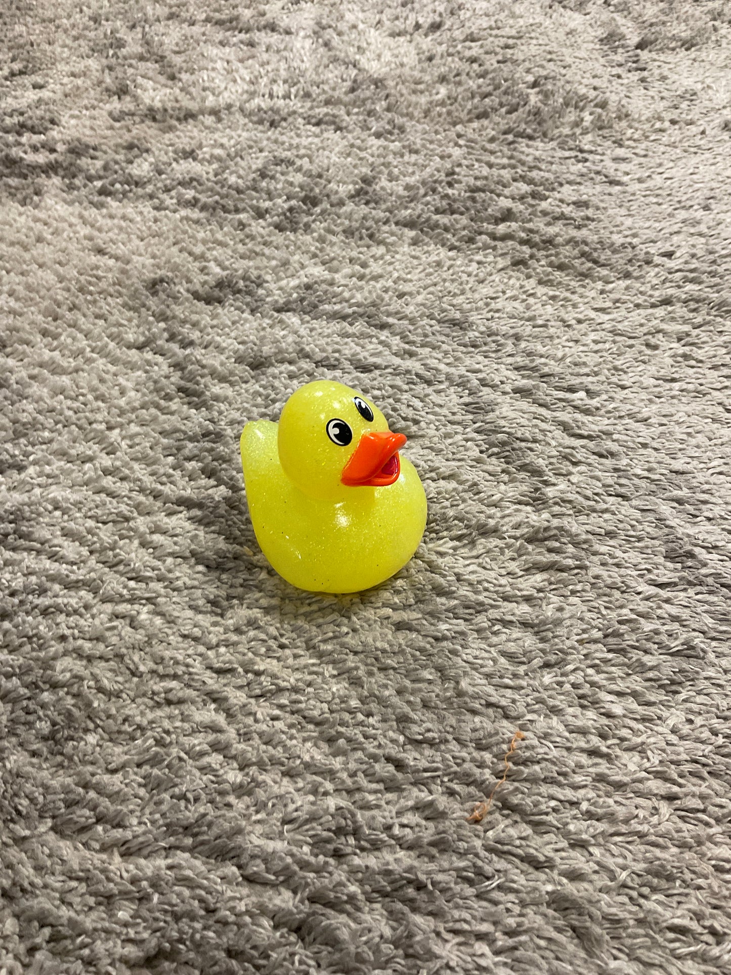 Glitter Duck
