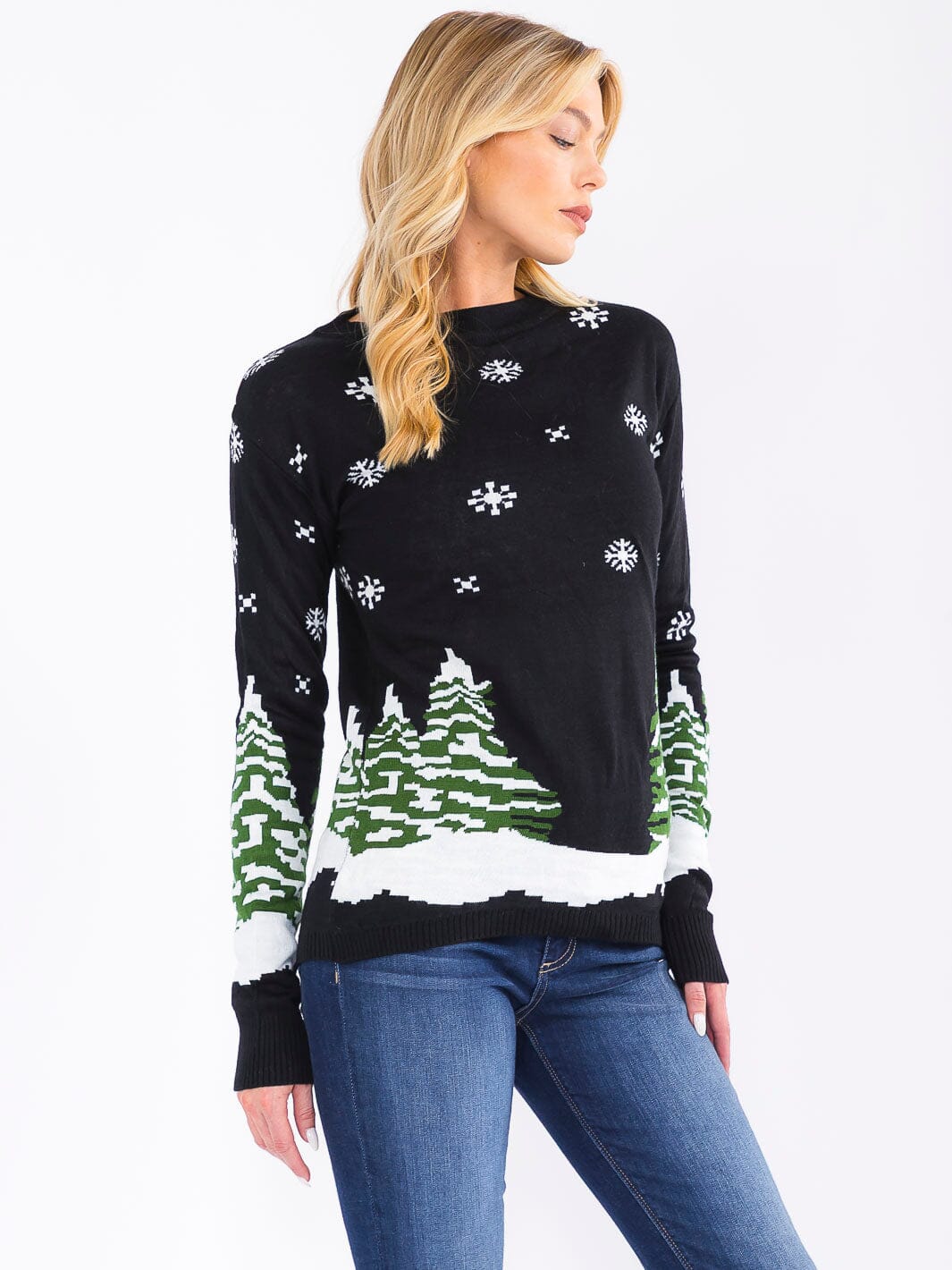 Christmas Graphic Pullover Sweater