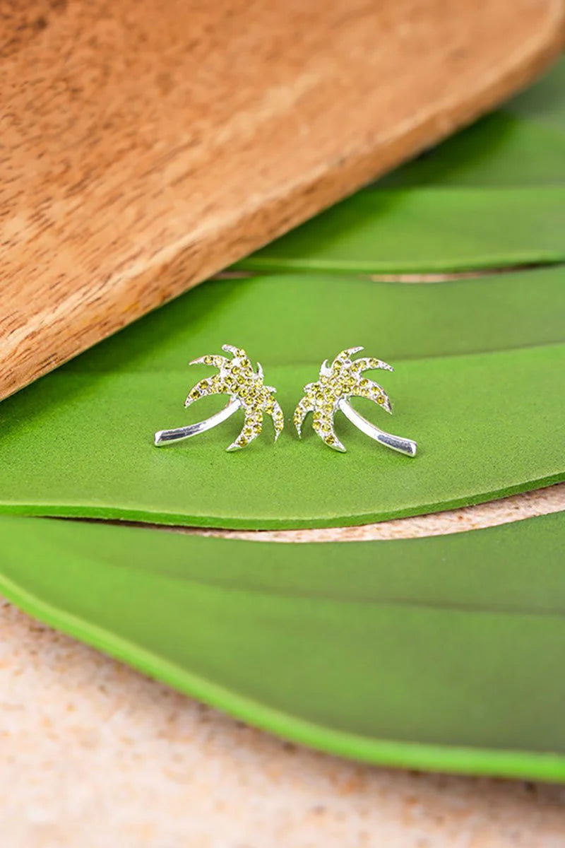 E - Isabela Island Palm