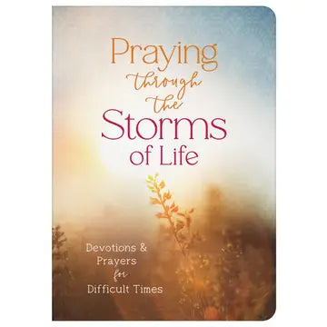 Praying Through the Storms of Life