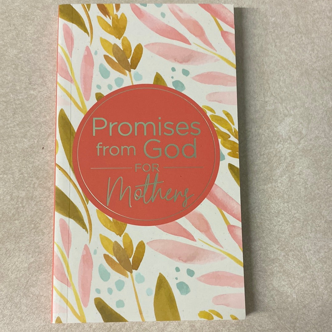 Promises From God For Mothers Book