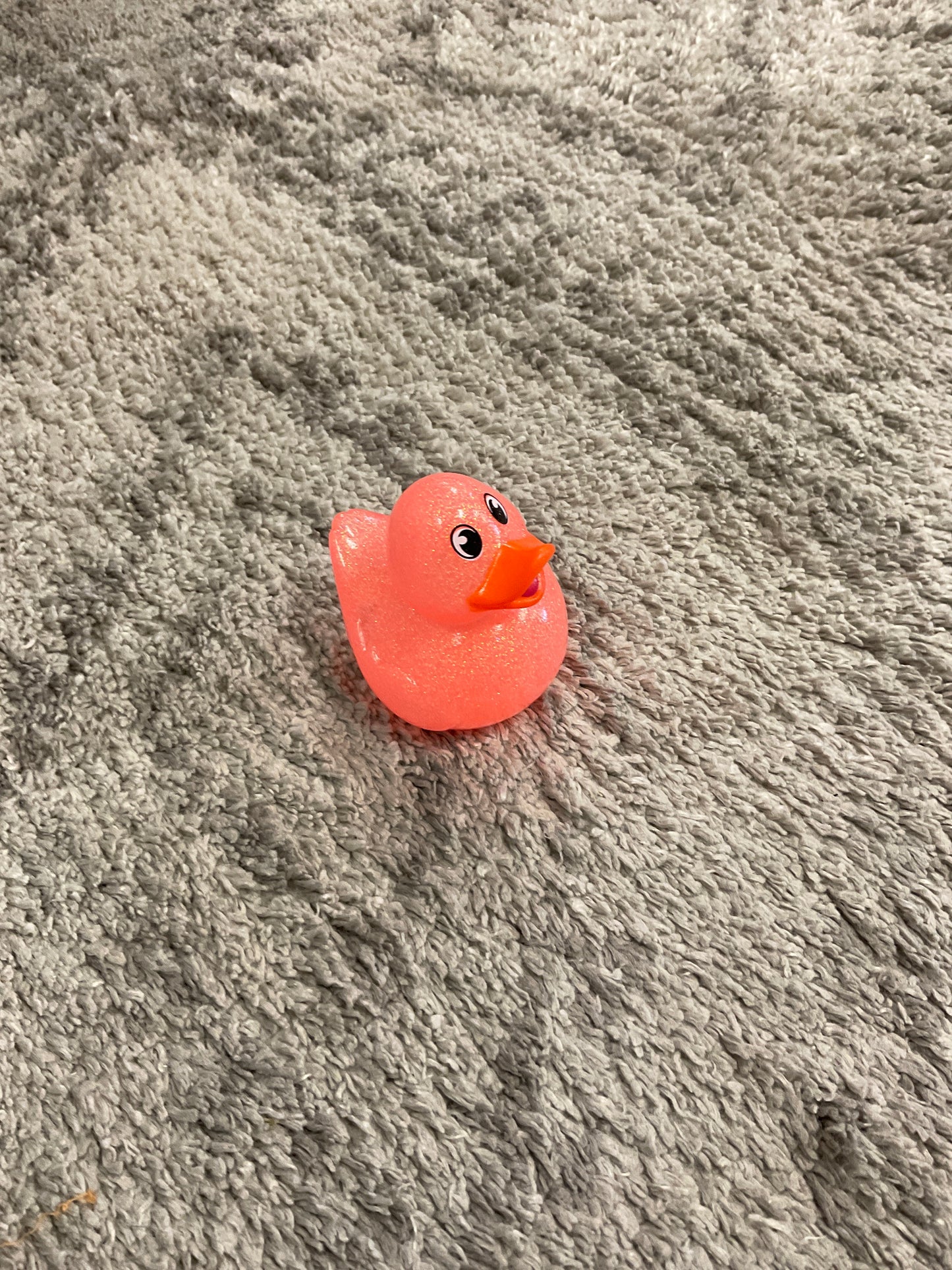 Glitter Duck