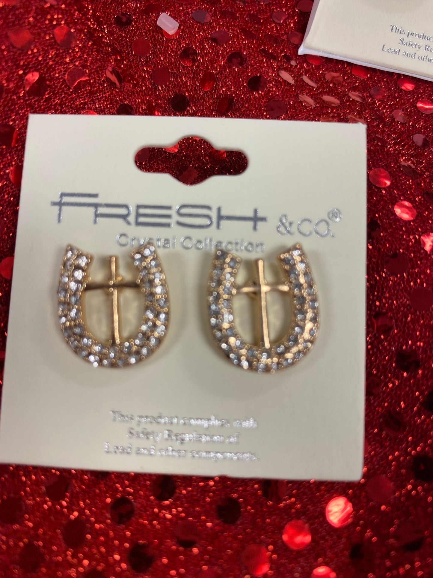 Horeshoe Cross Earrings